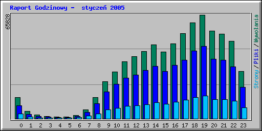 Raport Godzinowy -  stycze 2005
