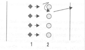 Rys. 8