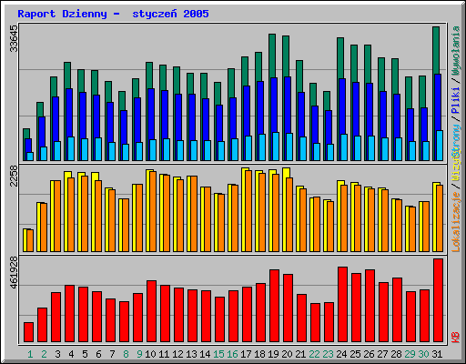 Raport Dzienny -  stycze 2005
