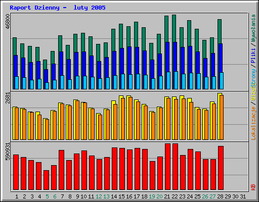 Raport Dzienny -  luty 2005