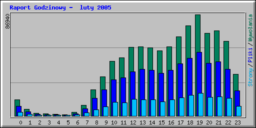 Raport Godzinowy -  luty 2005